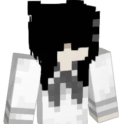 wwwhnx Minecraft avatar bust