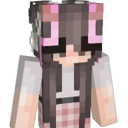 wxtiankx Minecraft avatar bust