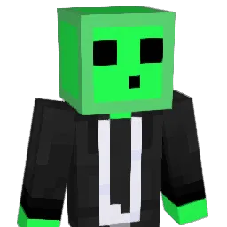 x10_gra Minecraft avatar bust