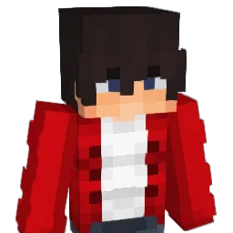 x242 Minecraft avatar bust