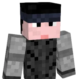 x282665 Minecraft avatar bust