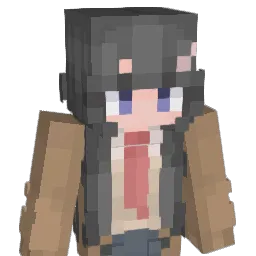 x493killer Minecraft avatar bust