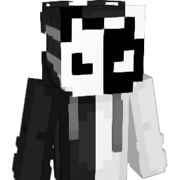 xAether_MCx Minecraft avatar bust