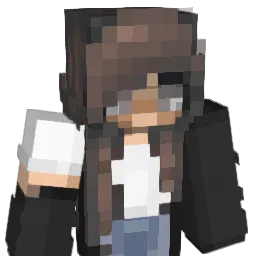 xAri31 Minecraft avatar bust