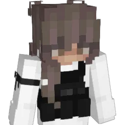 xArual_ Minecraft avatar bust