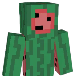 xCreeperman1435x Minecraft avatar bust