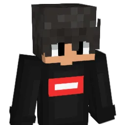 xErdiii Minecraft avatar bust