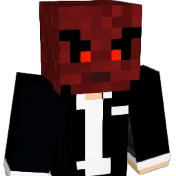 xHackusationsx Minecraft avatar bust