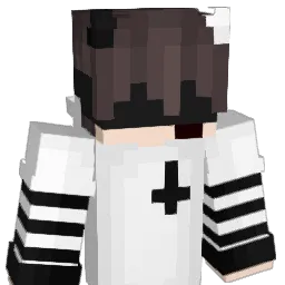 xHateAidan Minecraft avatar bust