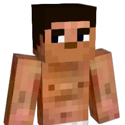 xIRayy Minecraft avatar bust