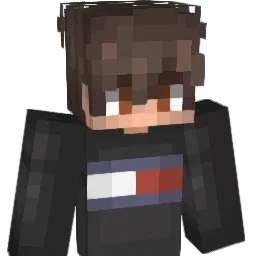 xLau21 Minecraft avatar bust
