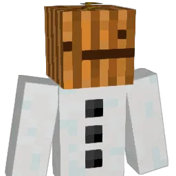 xLunex_ Minecraft avatar bust