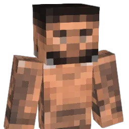xMRMx1 Minecraft avatar bust