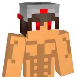 xNicola13 Minecraft avatar bust