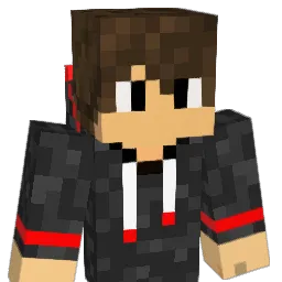 xNoCoMmEnT Minecraft avatar bust