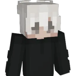 xNotelfe_ Minecraft avatar bust