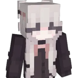 xNsh__ Minecraft avatar bust