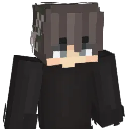 xNyash_ Minecraft avatar bust