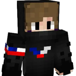 xPedrx11 Minecraft avatar bust