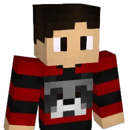 xR4coonX Minecraft avatar bust