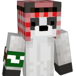 xReikkun14 Minecraft avatar bust