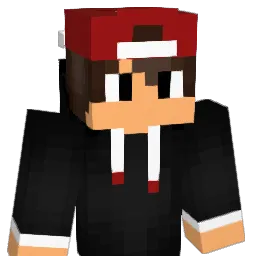 xRobbez's Minecraft skin