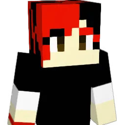 xRoisX Minecraft avatar bust