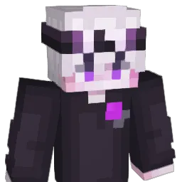 xSGxy_ Minecraft avatar bust