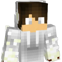 xShine_ Minecraft avatar bust