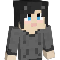 xSkibidiRizz69x Minecraft avatar bust