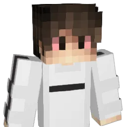 xSmok420 Minecraft avatar bust