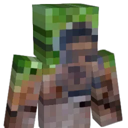 xSnowLife Minecraft avatar bust