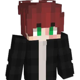 xTheArnold Minecraft avatar bust