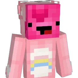 xTkS_ Minecraft avatar bust