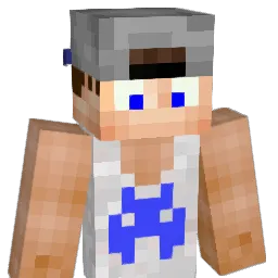 xVaiize_ Minecraft avatar bust