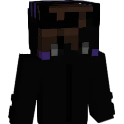 xVoidedx Minecraft avatar bust
