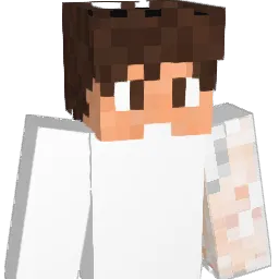 xWane_ Minecraft avatar bust