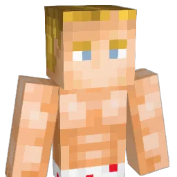 xXBigDigXx Minecraft avatar bust