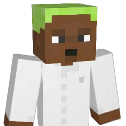 xXFrankOceanXx Minecraft avatar bust