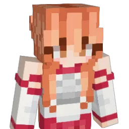 xXPaRaDiiZZ Minecraft avatar bust