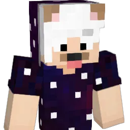 xXSamuelBrXx Minecraft avatar bust