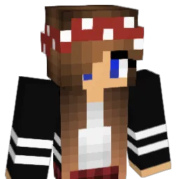 xXSturmXx Minecraft avatar bust