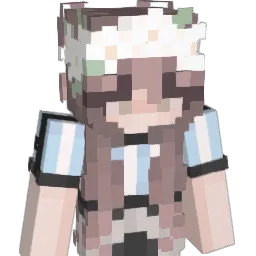 xXVasirXx Minecraft avatar bust