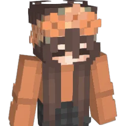 xXoinkerXx Minecraft avatar bust