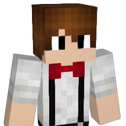 xXxXDolphinXxXx Minecraft avatar bust