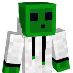 xXz0ckerXx Minecraft avatar bust