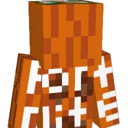 x_Timothy_x Minecraft avatar bust