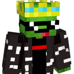 x_TurtlesRLit_x Minecraft avatar bust