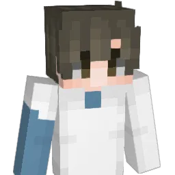 x_oa Minecraft avatar bust