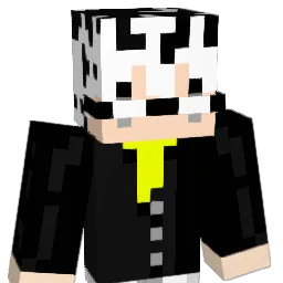 x_sall Minecraft avatar bust